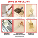 WATERPROOF ANTI-LEAKAGE AGENT WITH FREE BRUSH